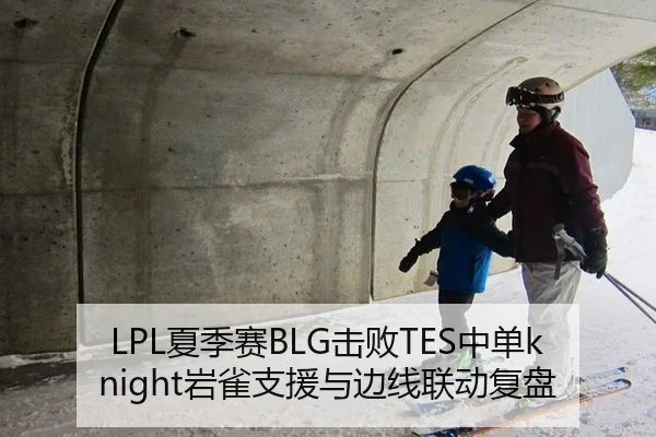 LPL夏季赛BLG击败TES中单knight岩雀支援与边线联动复盘